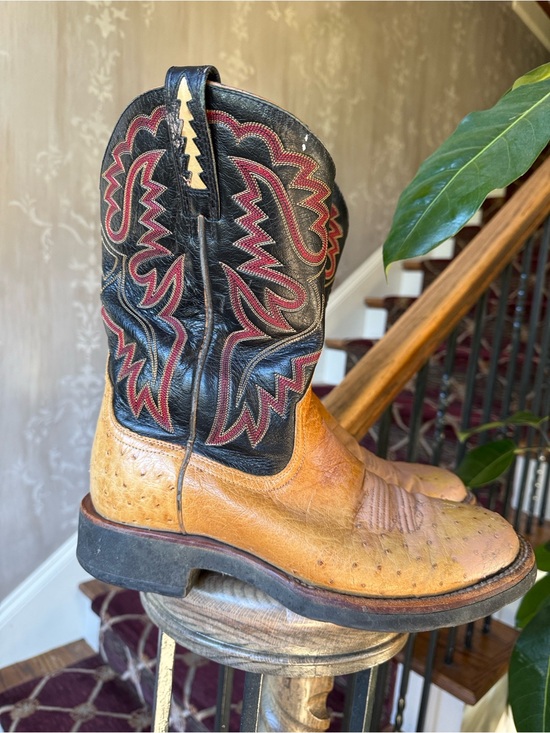 Other - ARIAT smooth ostrich boots size 10. Good condition.